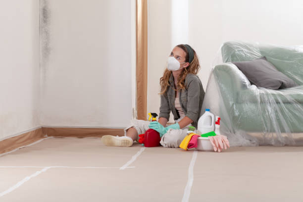 Reliable Mold Remediation contractor in Fairfax Station, VA by Cheap Mold Removal